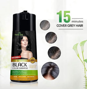 Herbishh Black 3 in 1 Hair Dye Shampoo 400 ML PPD + Hair Color Stain Protector ? Dye Shield or Defender for Skin