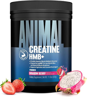 Animal Creatine HMB Powder ? 3g myHMB + 5g Creatine with Electrolytes for Recovery &amp Daily Energy ? Dragon Berry Flavor 30 Servings