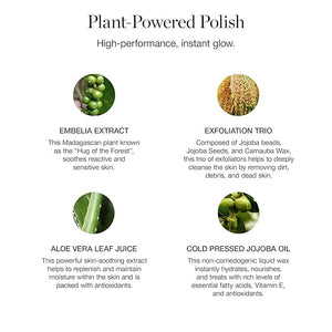 Ogee Botanical Brilliance Exfoliating Cleanser ? High Performance Facial Wash ? Certified Organic Face Exfoliator Made in USA