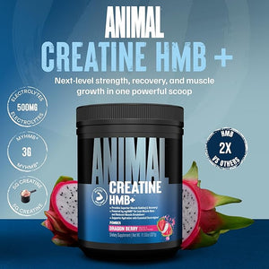 Animal Creatine HMB Powder ? 3g myHMB + 5g Creatine with Electrolytes for Recovery &amp Daily Energy ? Dragon Berry Flavor 30 Servings