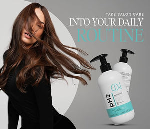 PH2 PERFECT MASK ? Professional Mask for Damaged Hair with Acidic pH 2 ? Hydrating Mask for Dry Hair ? Deep Conditioning Treatment Repair &amp Color Protection ? 500ml