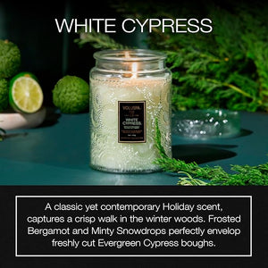 Voluspa White CypressLarge Candle Jar18 Ounce100 Hour Burn Time &amp Coconut Wax for Clean BurningHandcrafted in the USA