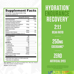 RYSE BCAA EAA Powder - Tropical Snocone - 5g Branched Chain Amino Acids 3g Essential Aminos Sugar-Free Electrolytes for Pre &amp Post Workout Muscle Recovery Hydration and Strength - 30 Servings