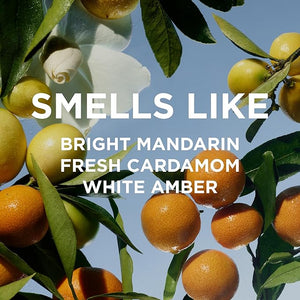 By Rosie Jane Eau De Parfum Travel Spray (Remi) - Clean Travel Perfume for Women - Enriched with Notes of Mandarin Cardamom &amp White Amber - Vegan Paraben Sulfate &amp Phthalate Free (10 ml)