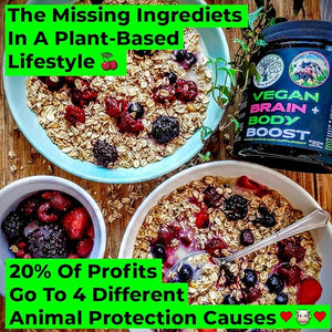 Vegan Brain &amp Body Boost: The Cherry On Top of A Plant-Based Lifestyle | Working Intelligence | Anti-Aging | Physical Fitness | Vegan Amino Acids - Creatine Taurine &amp Beta Alanine | 40 Servin
