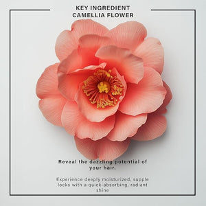 Nature Elixir DAILY DRIP Weightless Hair Oil with UV Protection - Hair Treatment Oil Moisture and Anti Frizz Control Oil for Hair Dry - 3.4oz | 100ml