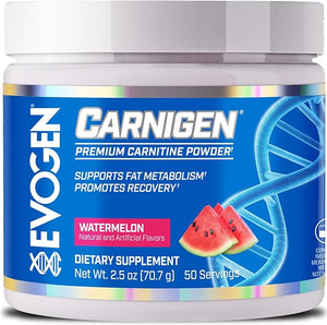 Evogen Carnigen - Premium Carnitine Powder | Supports Fat Metabolism &amp Promotes Recovery | Stimulant-Free L Carnitine Supplement Matrix with Acetyl L-Carnitine | Watermelon | 50 Servings