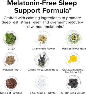 Night Shred Black Melatonin-Free Nighttime Fat Burner and Sleep Support Supplement - GABA Complex with Ashwagandha CLA Grains of Paradise and Zylaria - Thermogenic Fat Burner - 90 Vegan Capsules