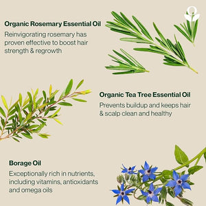 Balmonds Hair, Scalp &amp; Beard Oil 1.7 Oz with Rosemary, Hemp &amp; Tea Tree - Natural Conditioning Treatment for Dry, Itchy Scalps - Nourishes &amp; Moisturizes