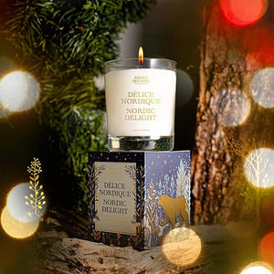 Panier des Sens - Winter Candle ? Long Lasting Scented Candles for Home ? Gift for Women ? 100% Natural Cotton Wick ? Decorative Candles Home Gifts (Nordic Delight Vanilla)