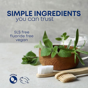 Kiss My Face Sensitive Toothpaste Gel, Citrus Mint Gel, Protection for Sensitive Teeth and Gums, with Tea Tree Oil, Aloe and Iceland Moss, Fluoride Free, Vegan, 4.5 oz, 6 Pack