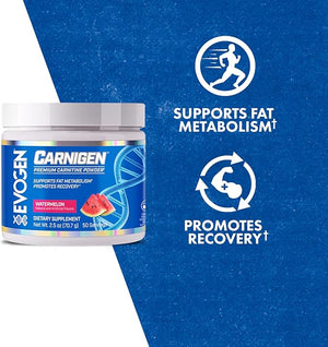 Evogen Carnigen - Premium Carnitine Powder | Supports Fat Metabolism &amp Promotes Recovery | Stimulant-Free L Carnitine Supplement Matrix with Acetyl L-Carnitine | Watermelon | 50 Servings