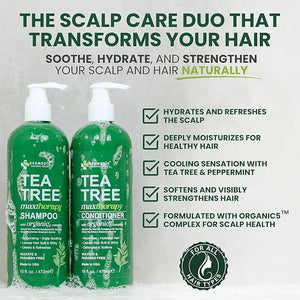 Tea Tree Oil Shampoo and Conditioner MaxTherapy Set Itchy Scalp Relief Refreshes &amp Cleanses Dandruff &amp Buildup Clarifying for Oily Hair Women &amp Men 16 fl oz Each