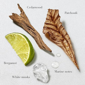 Armani beauty - Acqua di Gio -Deodorant - Cologne for Men - Long Lasting Fragrance with Bergamot notes, Jasmine, White Musks, Patchouli &amp; Cedarwood ? 2.6 Oz