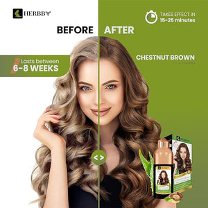 HERBBY Gray Hair Coverage Shampoo &amp Conditioner - Color Transform with 9 Herbal Extracts Long-Lasting (6-8 Weeks) Shiny Even Coloring Instant Hair Dye 500 ml (CHESTNUT BROWN)