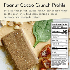 Send Bars Plant-Based Vegan Healthy Protein Bars, With Greens (Peanut Cacao Crunch, 8 Bars) ? Only Real Ingredients, Zero Added Sugar, Gluten-Free, Dairy-Free