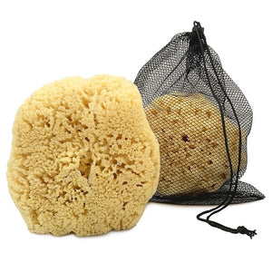 Real Sea Sponge for Men - Extra Large 6-7 Totally Natural Kind on Skin for an Invigorating Shower Supplied in Breathable Mesh Bag. Great for The Gym Grooming Bath &amp Body Gift by Constantia
